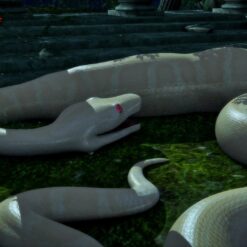 snake vore Albino 6