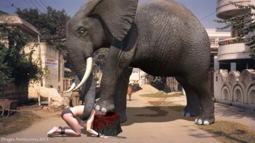 Elephant execution