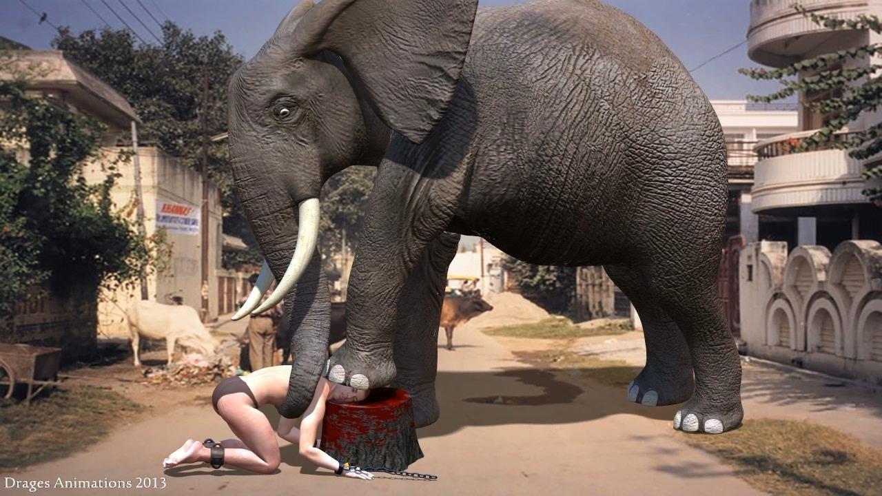 Have you gotten the chance to see my first Elephant execution animation