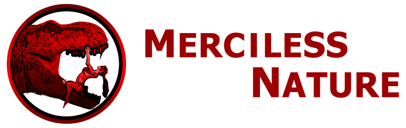 Merciless-Logo